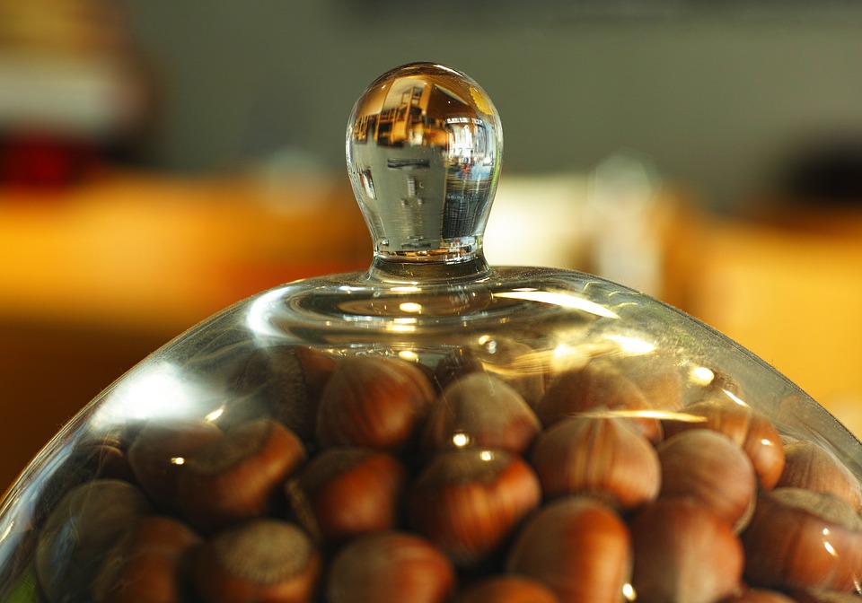 Dr Prerna Kohli India’s Top Psychologist talks about Mental Health Benefits of Hazelnuts